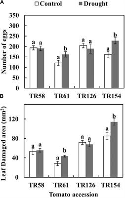 Plant-Mediated Effects of Water Deficit on the Performance of Tetranychus evansi on Tomato Drought-Adapted Accessions